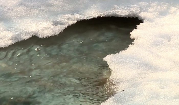 Кадр теленовостей, «Вести Новосибирск».