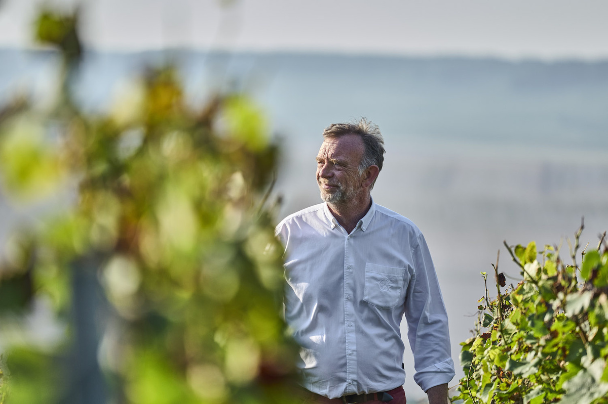     Время Gosset: пять веков шампанской элегантности