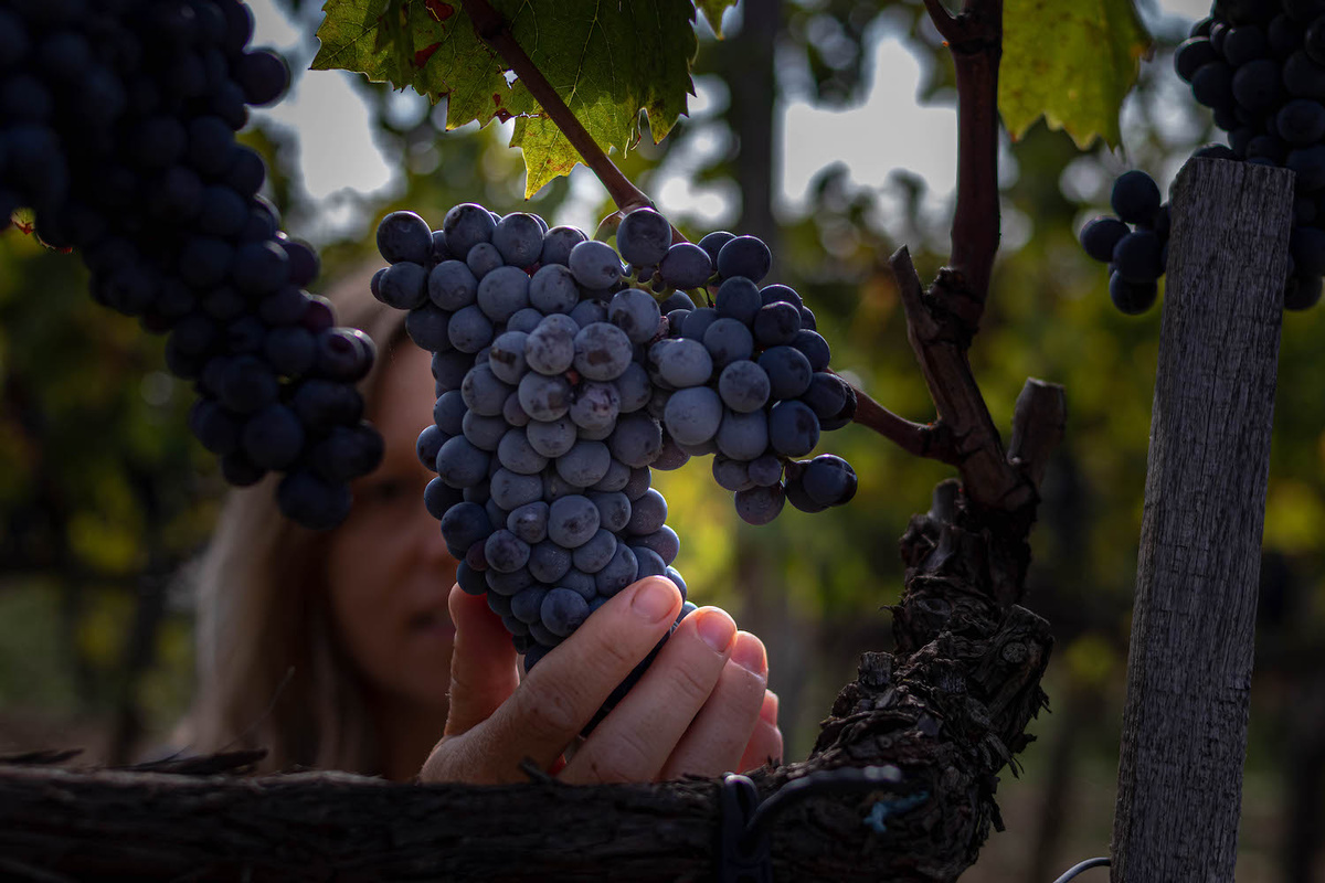     Brunellogate: история большого позора, от которого удалось отмыться