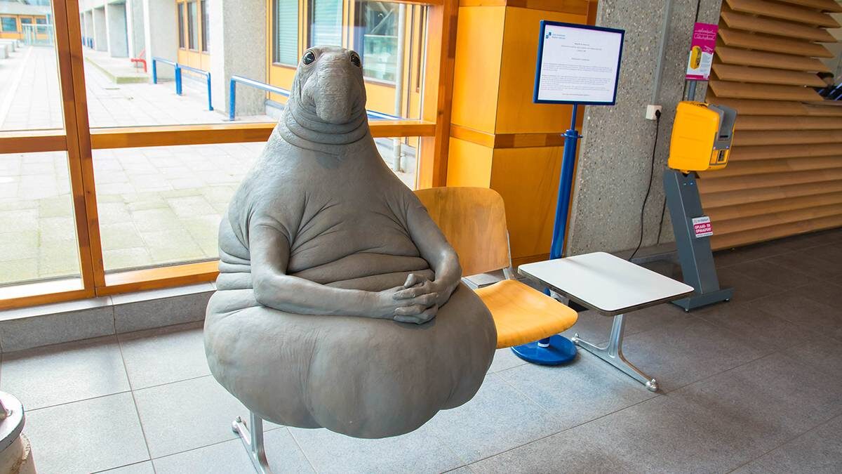    Фото: Shutterstock