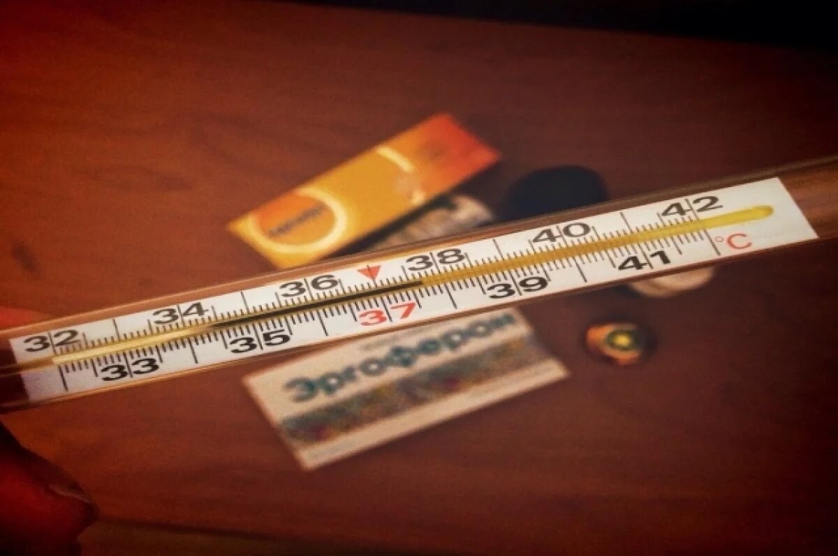    Роспотребнадзор предупредил о всплеске геморрагической лихорадки весной