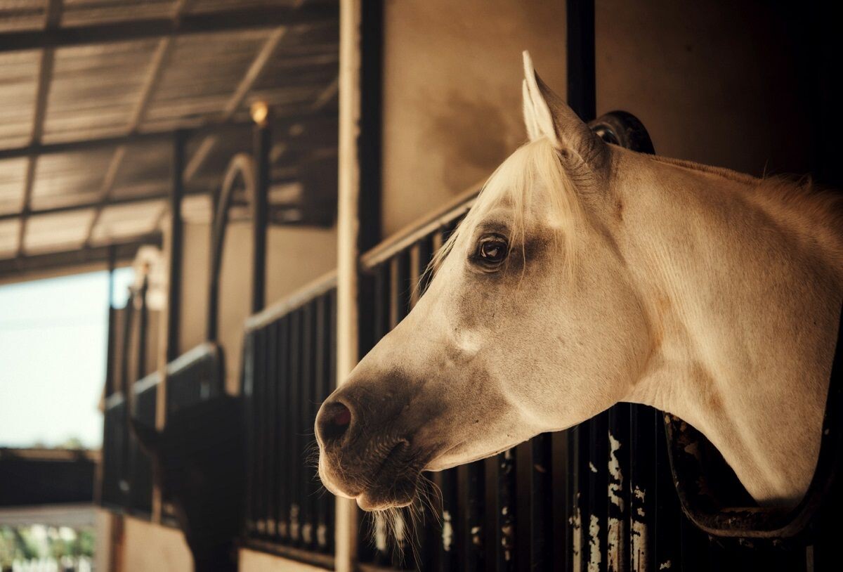     Изображение от jcomp на Freepik