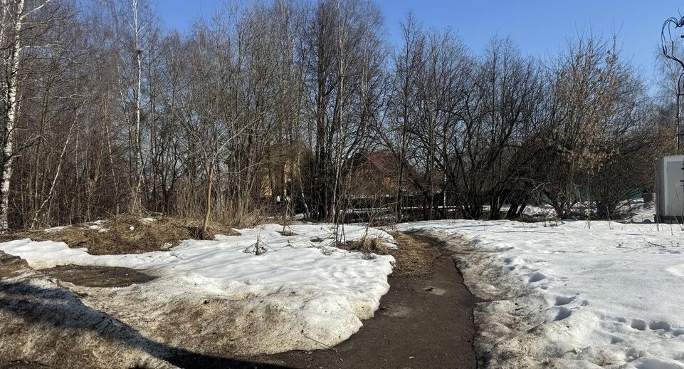    Полина Абраменко