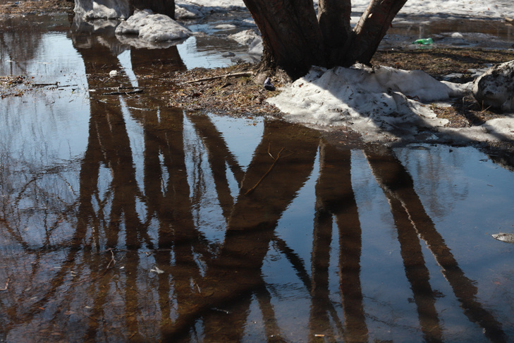    Фото из архива VN.ru