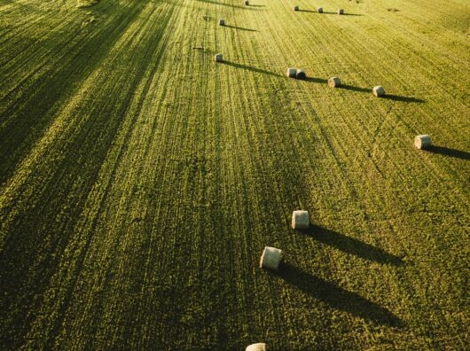    //Фото: freepik.com