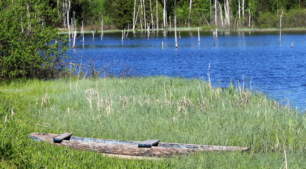 Лекция 4-ПВ. Методология сравнительной эколого-экономической экспертизы биопродукции заболоченных территорий