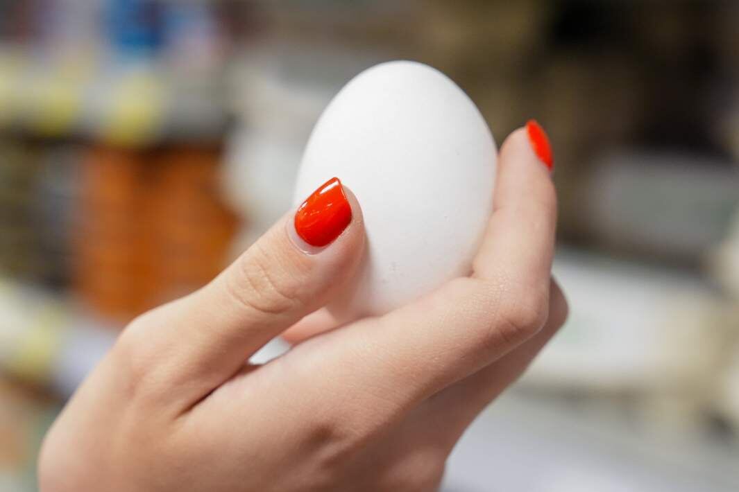 Фото: ИЗВЕСТИЯ/Эдуард Корниенко