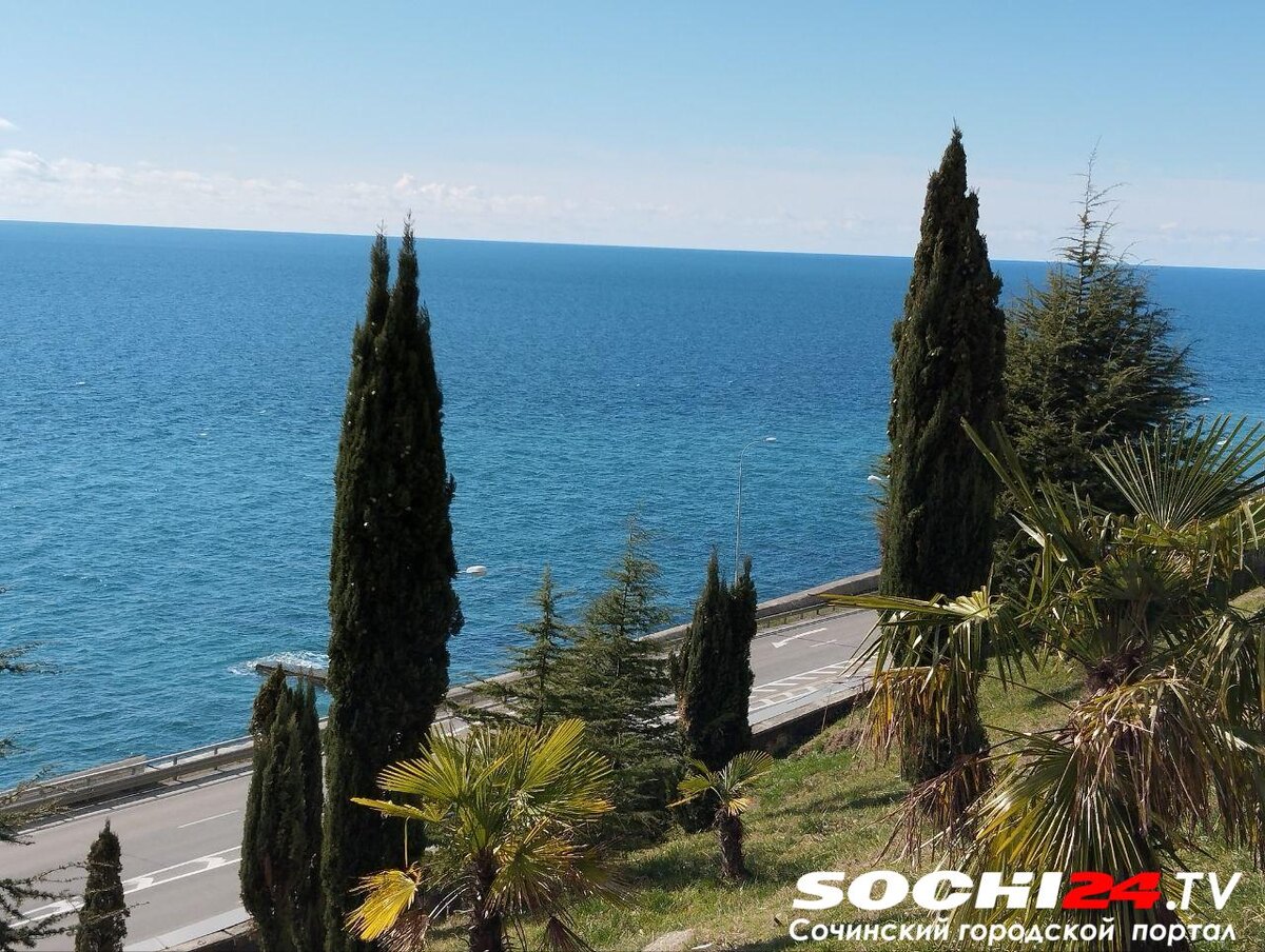    Фото: Сочи24 (Лидия Виленская)