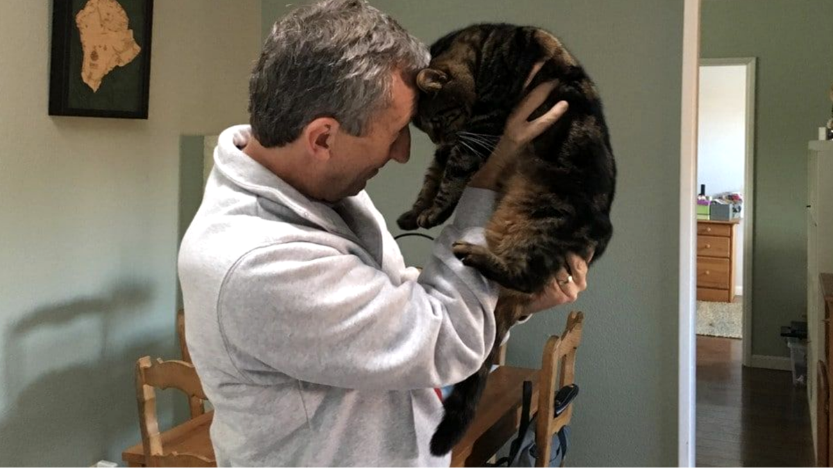 Мой отец до сих пор всем говорит, что "терпеть не может нашу вредную кошку". Кто бы ему еще по верил)))