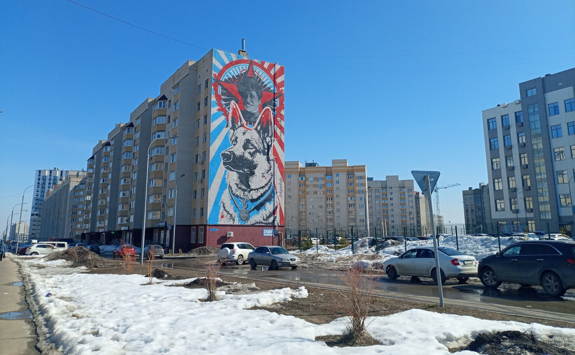 Фото: РБК Черноземье