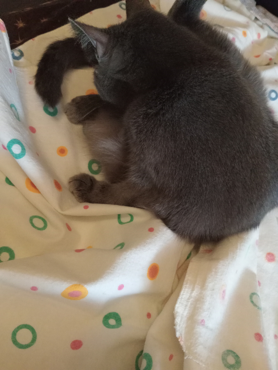 Буся, нельзя так делать!!!