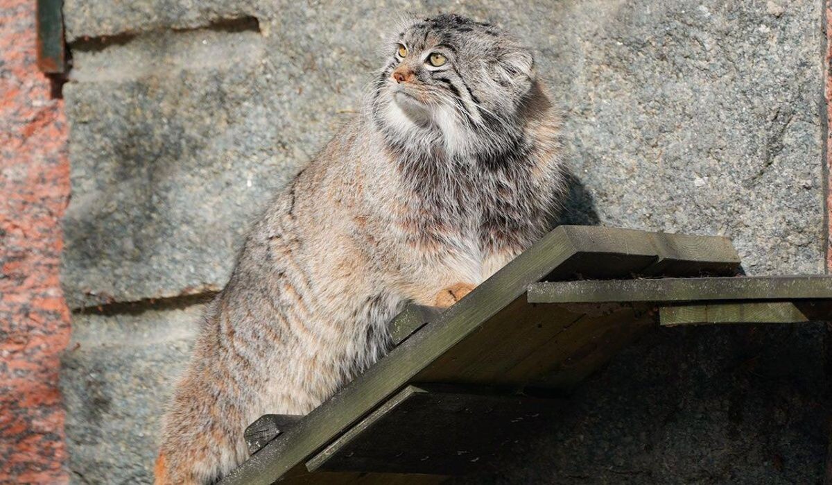     Тимофей. Источник: mos ru Автор фото: Пресс-служба Мэра и Правительства Москвы