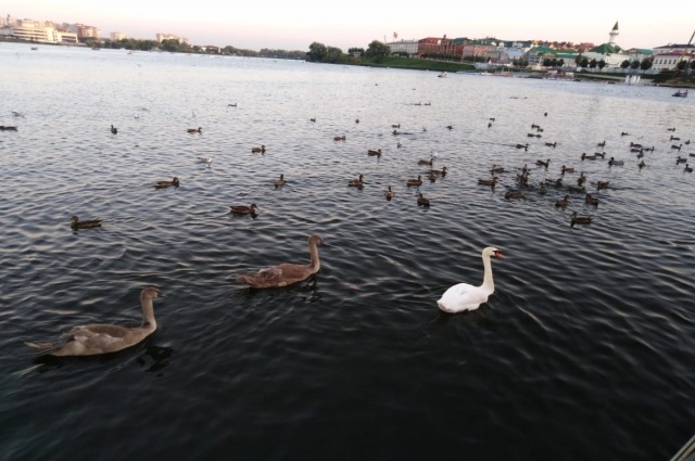    История озера богата на события. Фото: АиФ/ Ольга Любимова