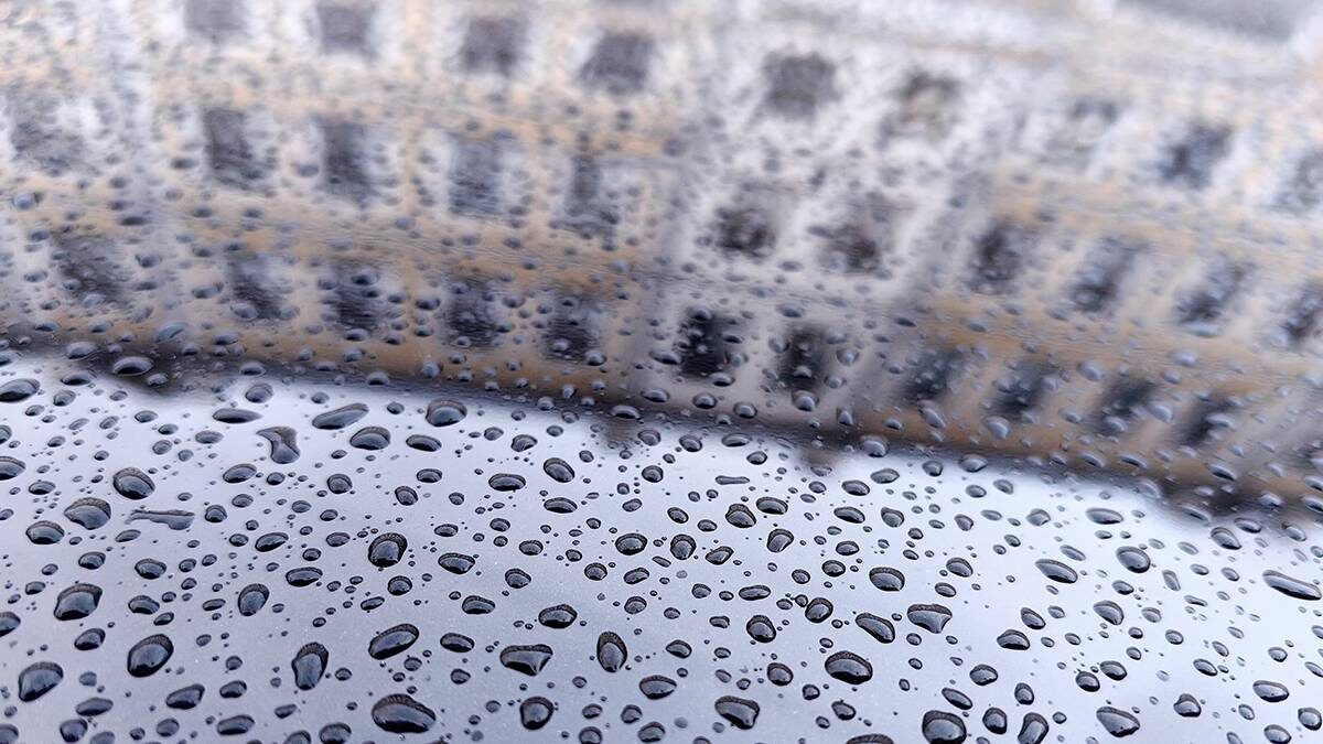    Фото: Василий Кузьмиченок / АГН Москва