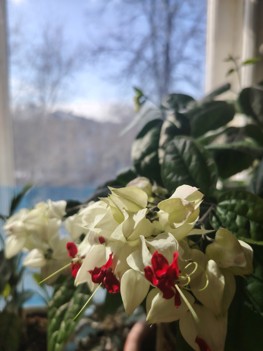 Весна - красотка.. Фото автора 