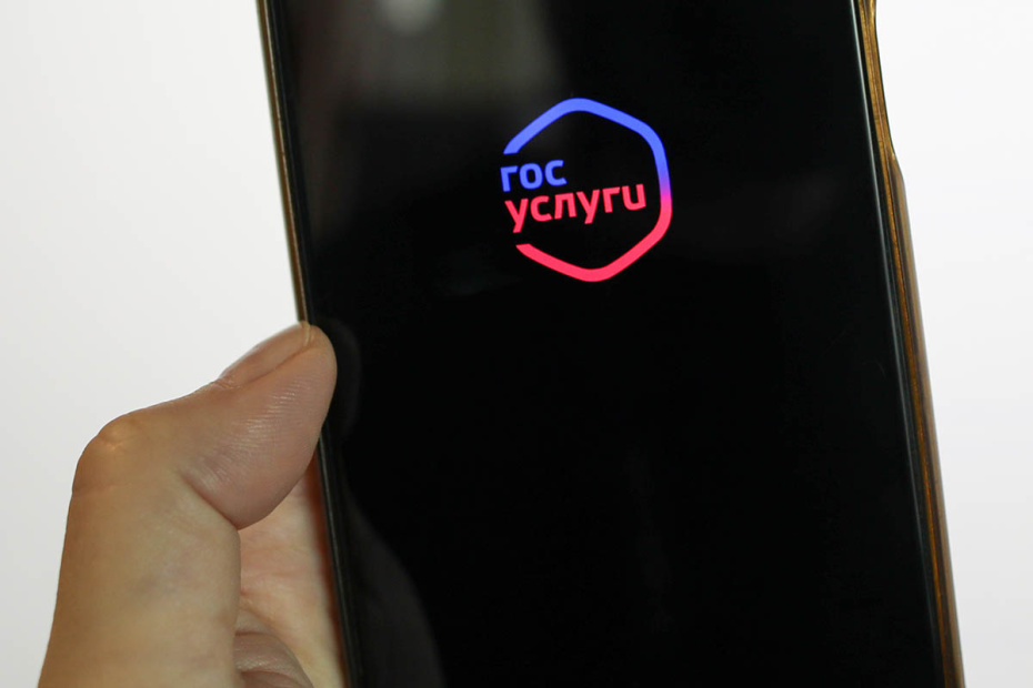    Александра Погиба/NEWS.ru