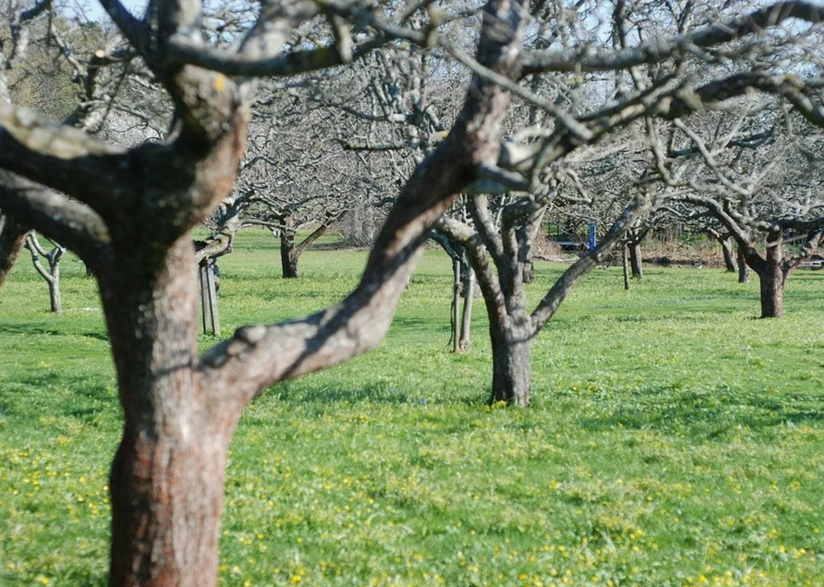 Источник фото: ivd.ru