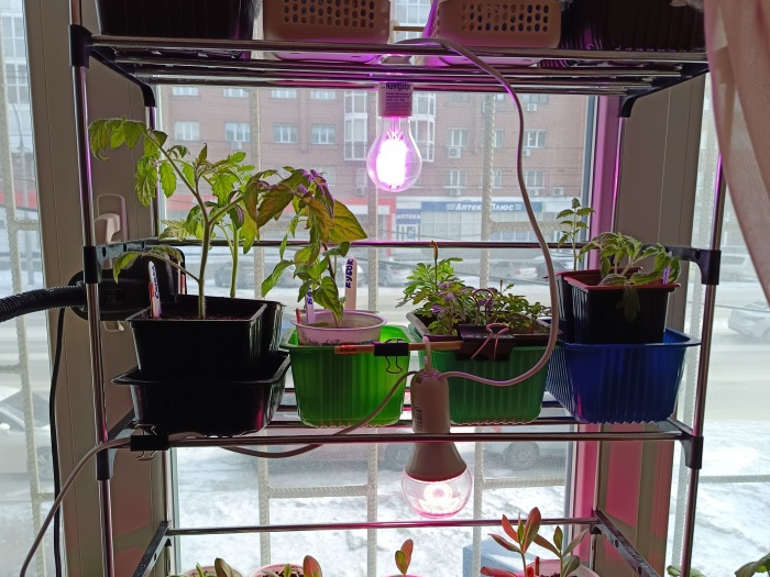 Недорого и очень удобно - высоту полок выбираем сами! Сборный стеллаж для рассады