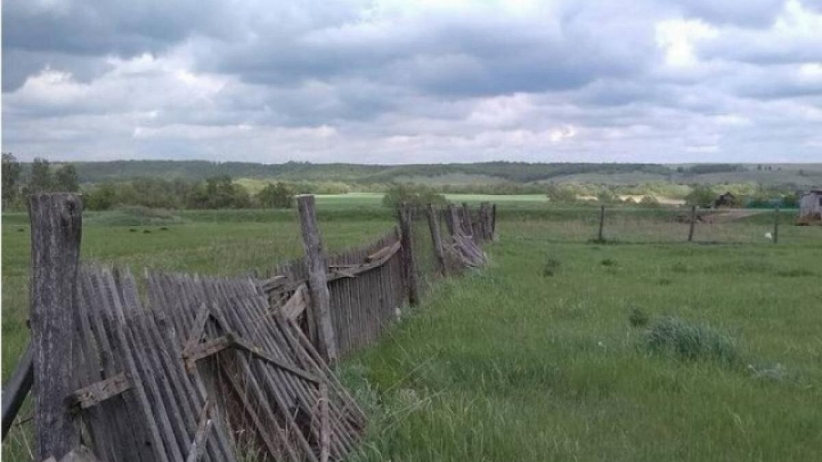    На территории Саратовской области будут активнее развивать масложировую отрасльНовости Саратова и области – Сетевое издание «Репортер64»