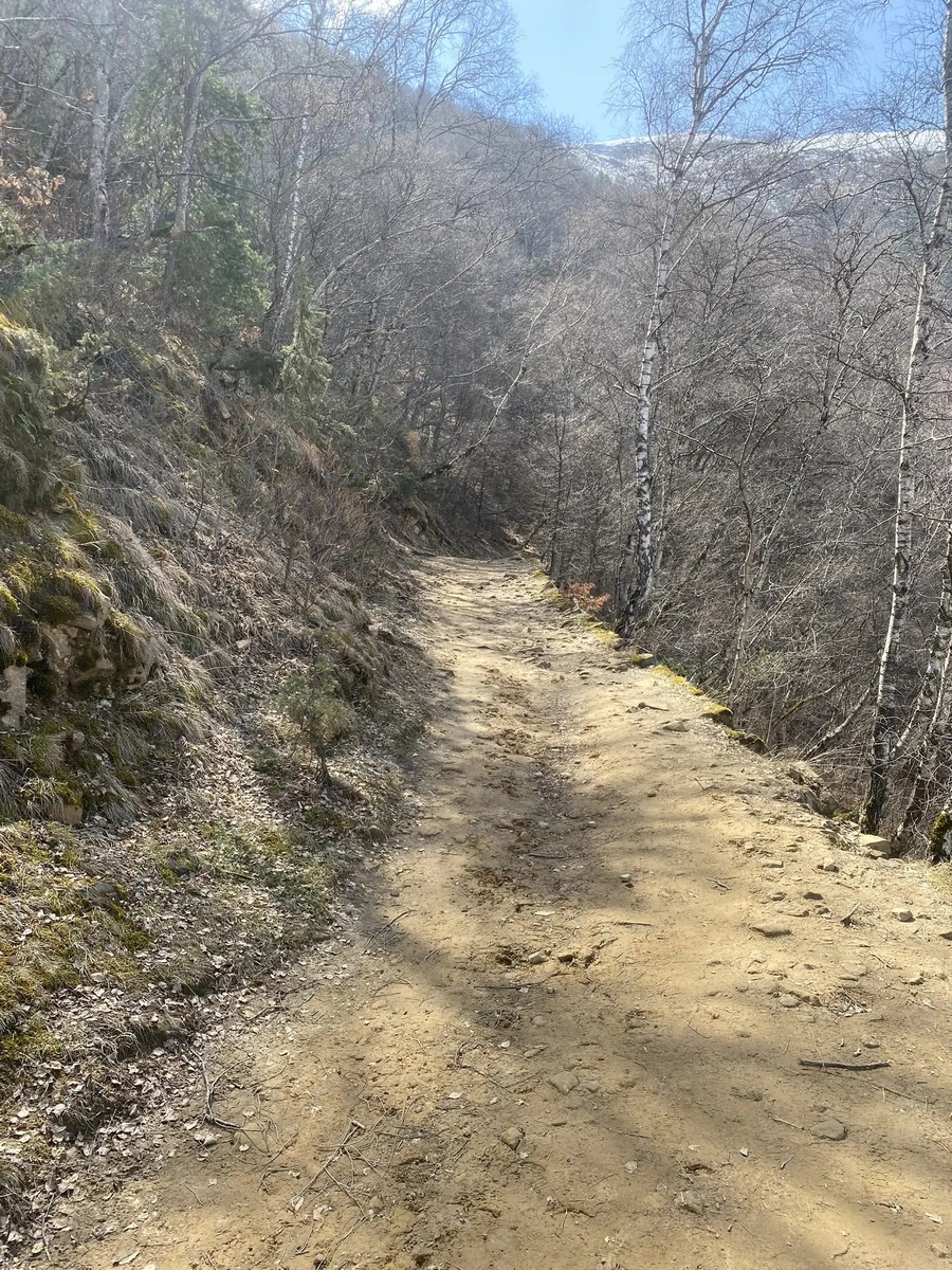 Дорога в аул. 