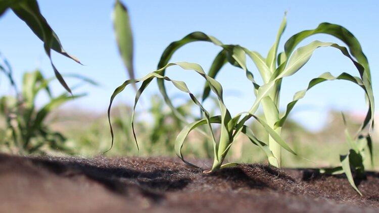    Фото: Matter of Trust Latam