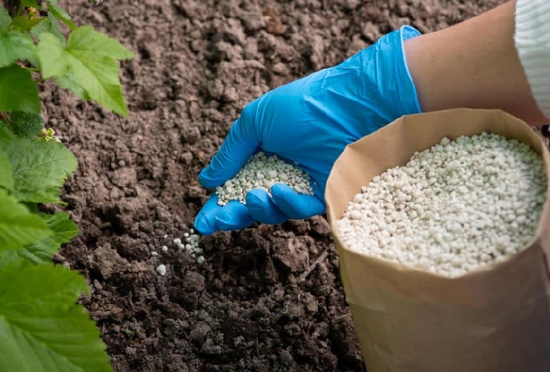    Фото: ru.freepik.com