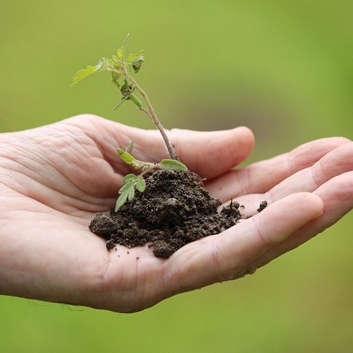    Лунный календарь на апрель 2026 Кристина Борунова