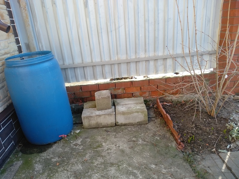 На блоках после их перестановки вполне уместится дыня. Справа растет калина. Теоретически она не должна затенять