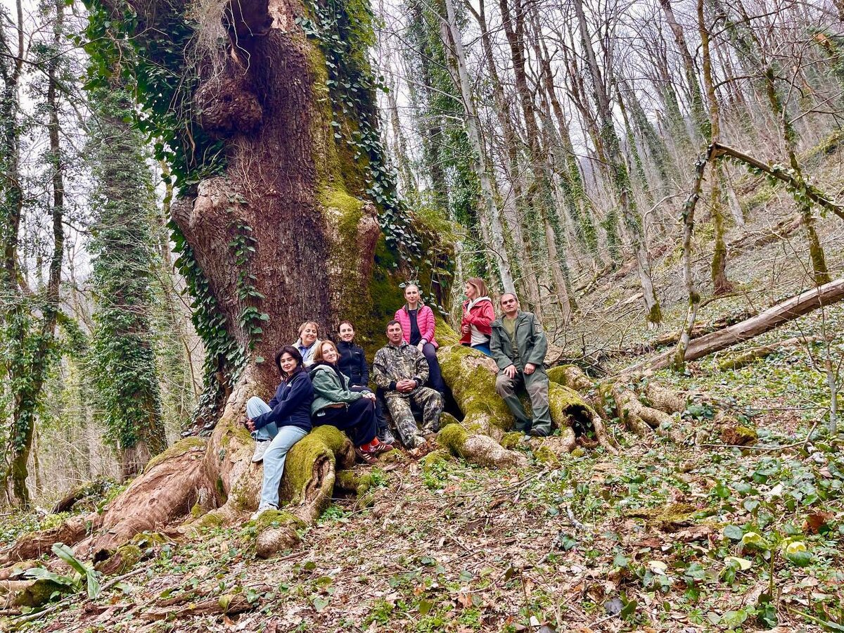    Фото: Шамиль Кобж/Сочинский национальный парк