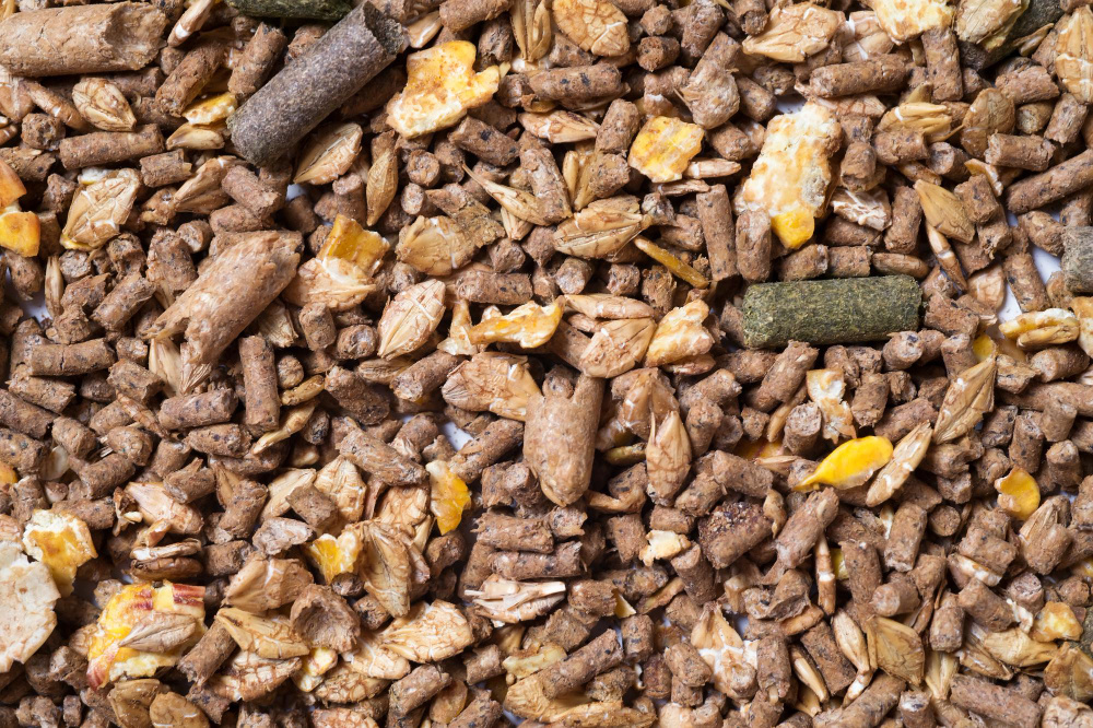 Фото: Anakondasp / Freepik