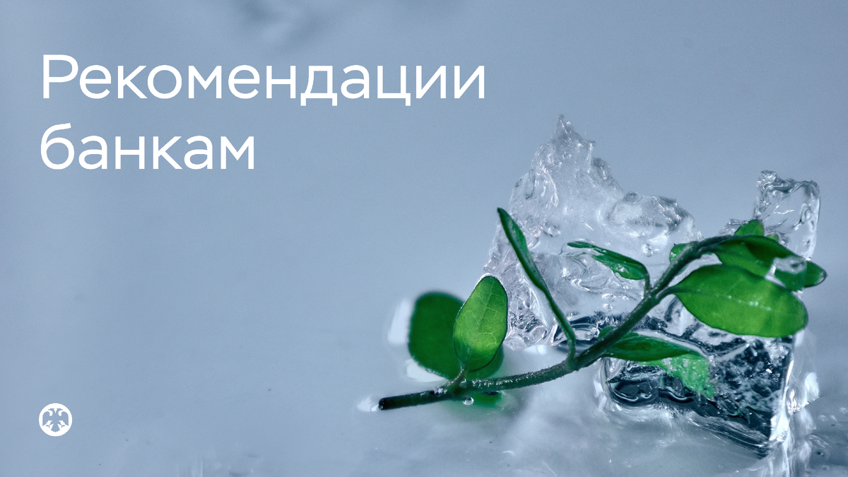 Фото: Bluerain19Valeria / Shutterstock