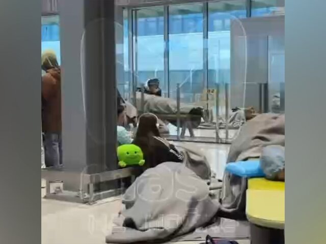    Фото: телеграм-канал Mash на Мойке