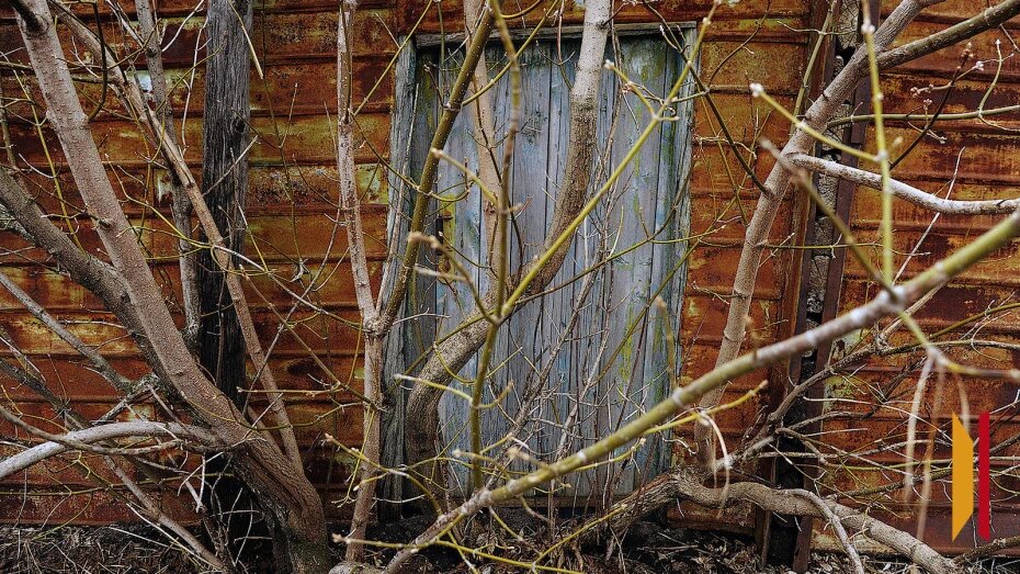    Автор фото: из архива РИА «Воронеж»