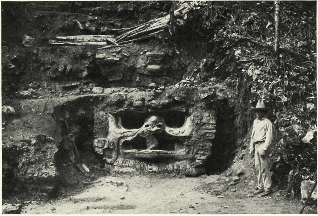 Источник: redd.it