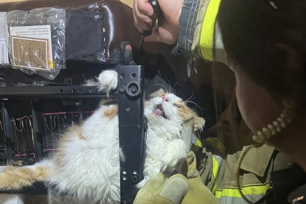 overlandparkpolice/Instagram   📷