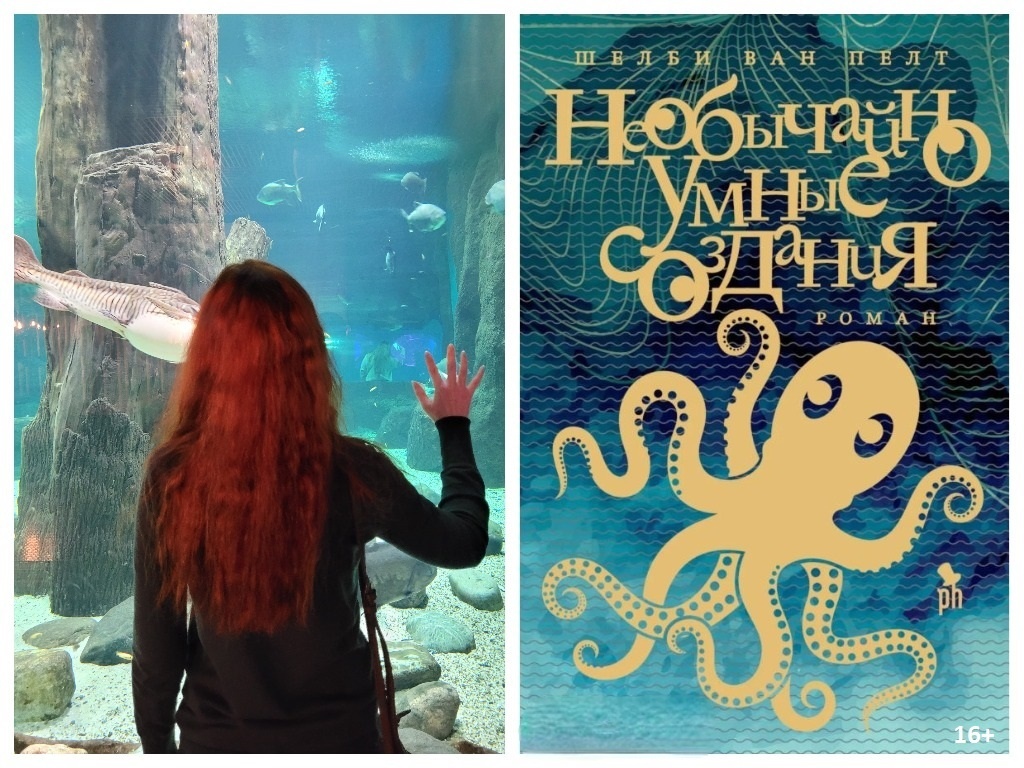 Я в океанариуме и обложка романа