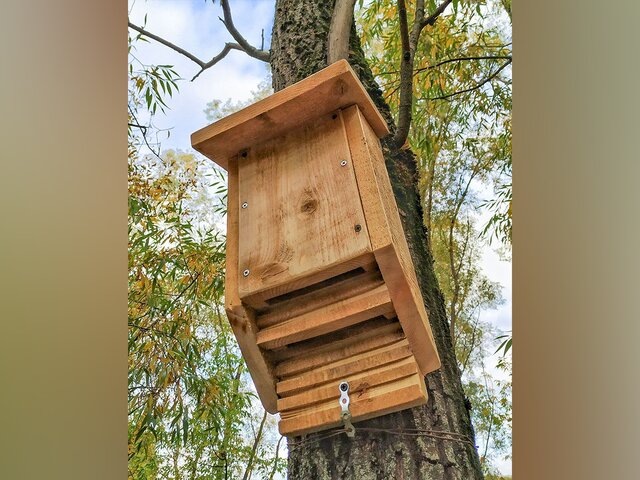    Фото: пресс-служба департамента природопользования и охраны окружающей среды города Москвы