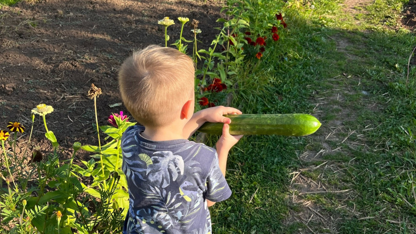    Фото progorod43.ru