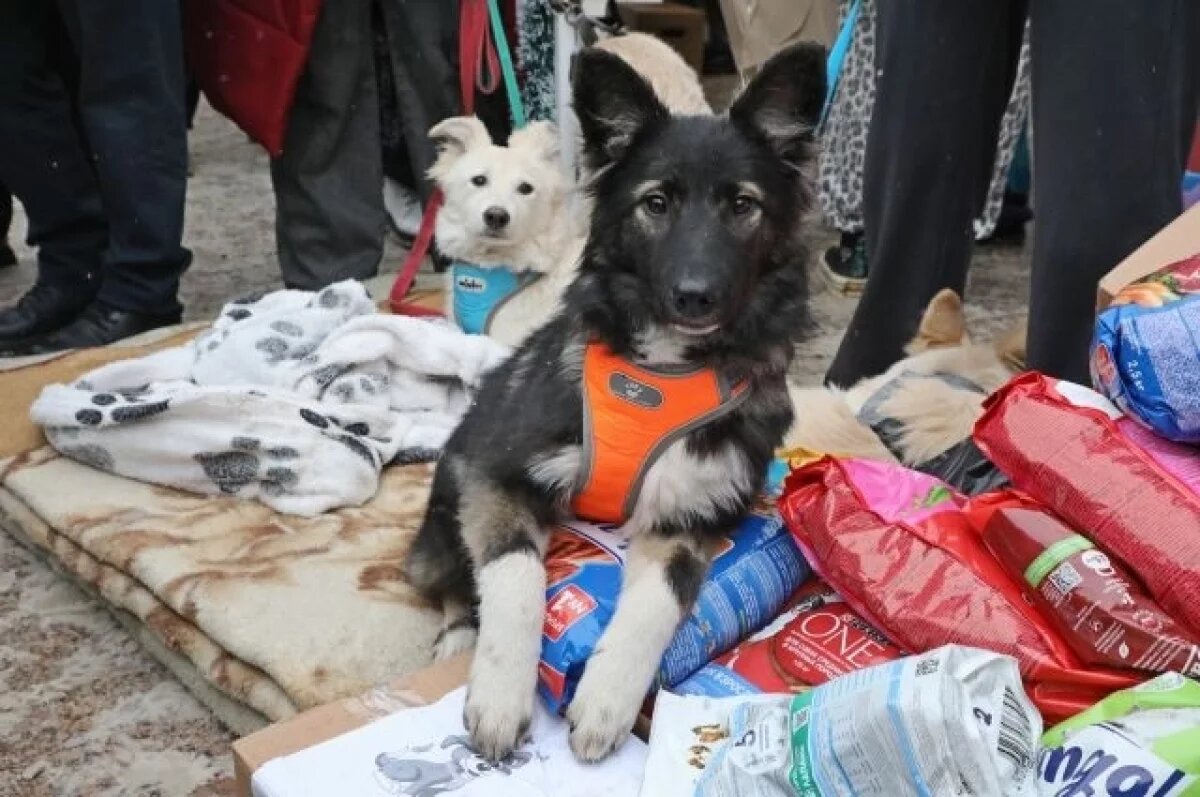    Мэрия Уфы назвала место проведения очередной акции «Ищу человека»