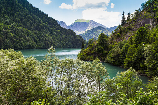 Zhukov Oleg/Shutterstock/FOTODOM   📷