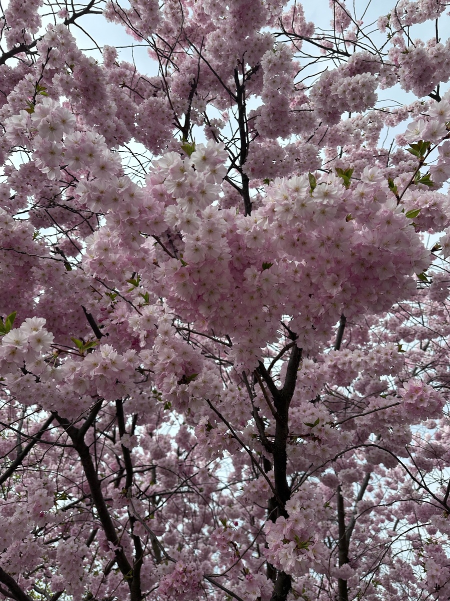 Фото для весеннего настроения