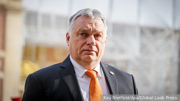     Фото: Kay Nietfeld/dpa/Global Look Press   
 Текст: Вера Басилая