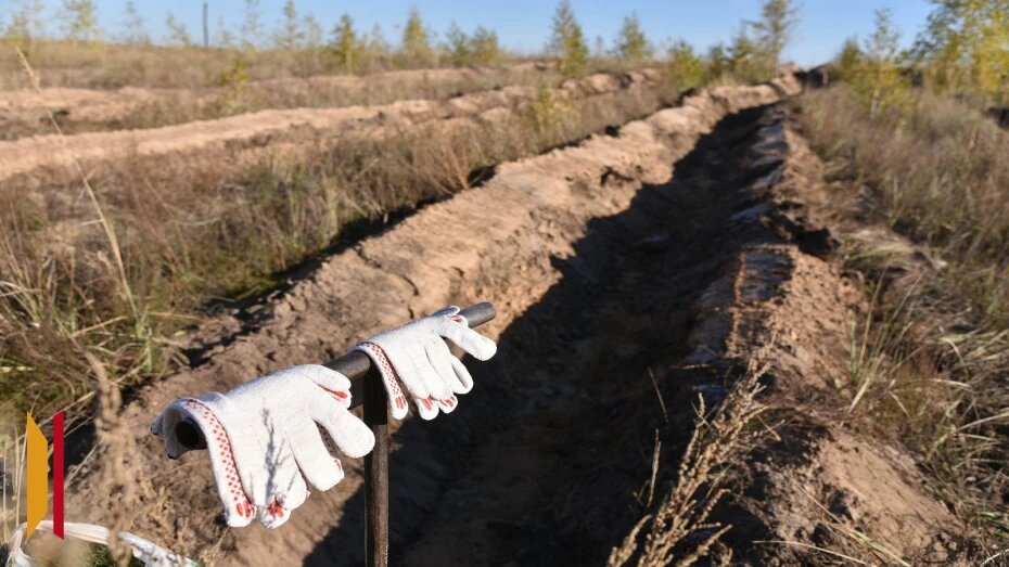    Автор фото: Михаил Кирьянов (из архива)