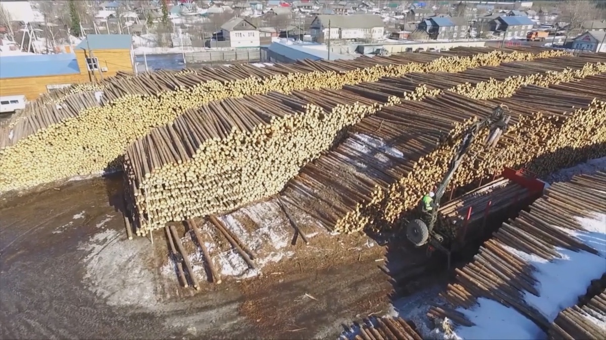 Промышленная эстетика в портфолио: Аэрофотосъемка гигантского лесопильного склада. Погрузчик загружает лесовоз на фоне бесконечных штабелей древесины