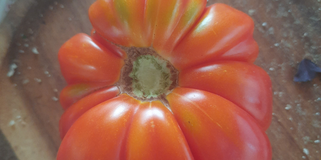 Мои любимые сорта томатов. Рекомендации от дачницы Татьяны))Мысли вслух)