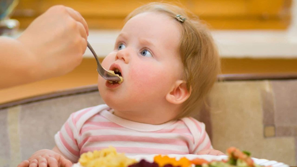 графики питания ребёнка от 6 месяцев до 3 лет