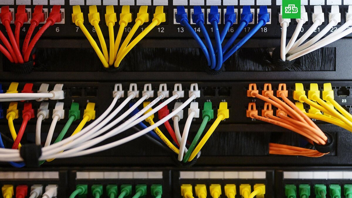    Фото: РИА Новости © 2026, Владимир Астапкович