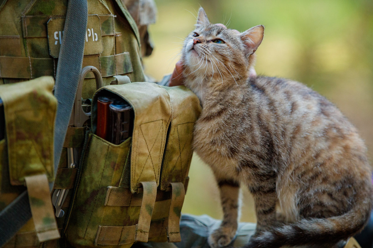    Фото: ТРК «Таврия»