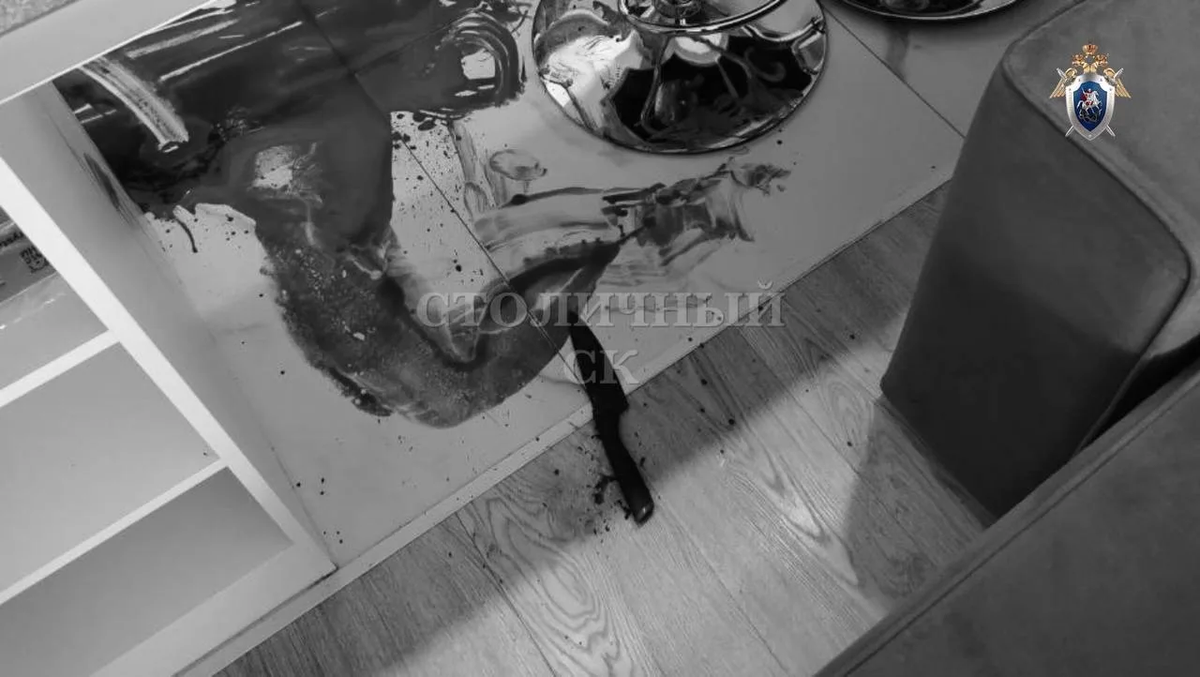    Фото: пресс-служба Следственного комитета России по Москве / MAX