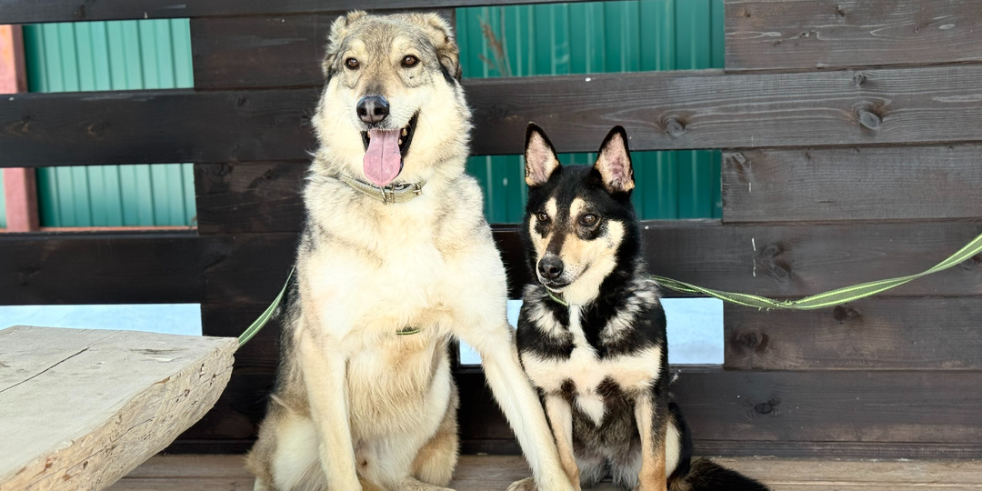 Там - страшно всем, но любовь сильнее страха. Фишер и Личи